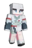flscm Minecraft avatar full body