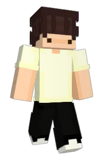 flst_ Minecraft avatar full body