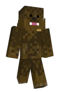 fluffybacca0202 Minecraft avatar full body