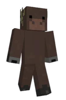fluffydogg Minecraft avatar full body