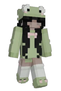 fly1nq Minecraft avatar full body