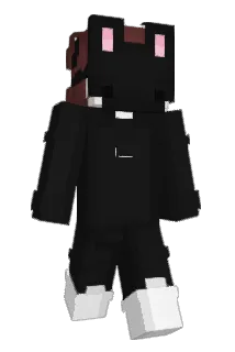 fly533creeping Minecraft avatar full body