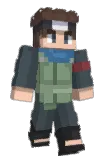 fly741 Minecraft avatar full body