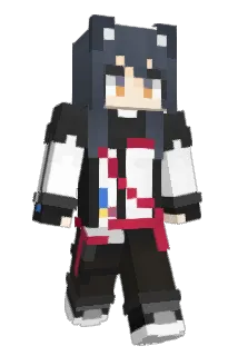 flya223 Minecraft avatar full body
