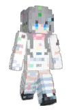 flyaw Minecraft avatar full body