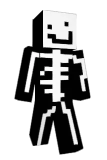 flyflor12456 Minecraft avatar full body