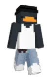 flyfuu Minecraft avatar full body