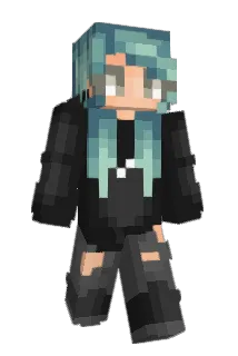 flyingpork Minecraft avatar full body