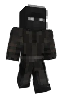flym4 Minecraft avatar full body