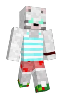 fmemer Minecraft avatar full body