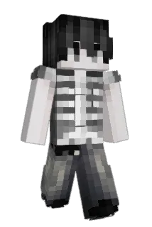 fmrfl Minecraft avatar full body