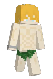 fndz Minecraft avatar full body