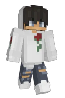 fobble Minecraft avatar full body