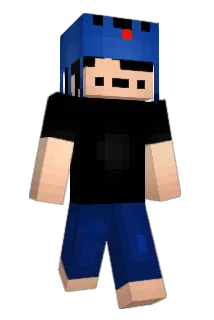 fok1z Minecraft avatar full body