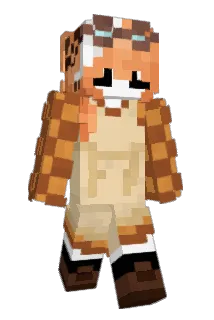 foki_f Minecraft avatar full body