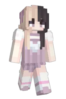 followzes Minecraft avatar full body