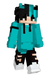 foofew Minecraft avatar full body