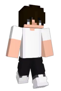 forestsogreen Minecraft avatar full body