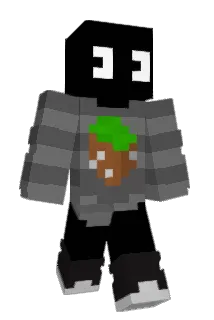 forresta Minecraft avatar full body