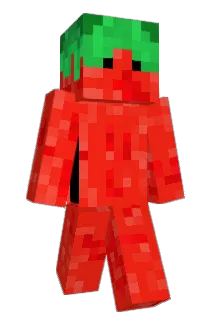 fortheclout Minecraft avatar full body
