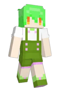 fourchannel Minecraft avatar full body