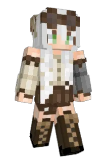 fourmisses Minecraft avatar full body