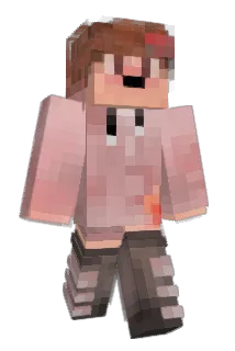 Minecraft-Avatar von fowxie: ganzer Körper
