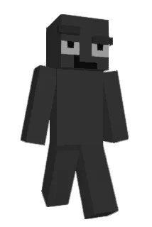 fq5_ Minecraft avatar full body