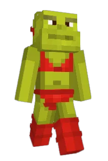 fr00ggies Minecraft avatar full body