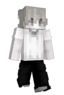 fr1xd Minecraft avatar full body
