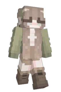 fr43 Minecraft avatar full body