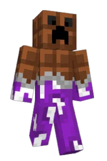 fr4ncol Minecraft avatar full body