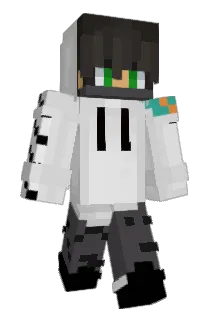 fra407 Minecraft avatar full body