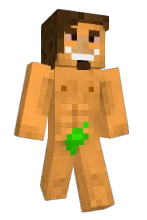 fraissse Minecraft avatar full body