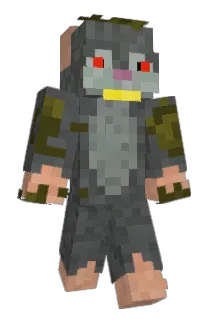 fran_gavedu Minecraft avatar full body