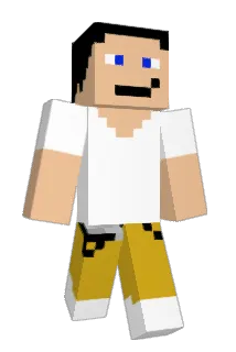 francestar13 Minecraft avatar full body