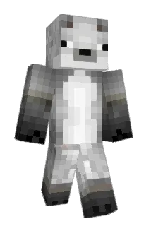 francja7 Minecraft avatar full body