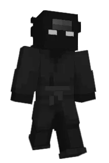 franekbonio Minecraft avatar full body