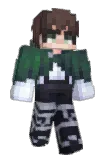 frankarol Minecraft avatar full body