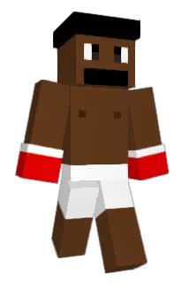 frankiboo Minecraft avatar full body