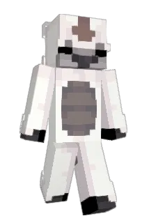 franlyy Minecraft avatar full body