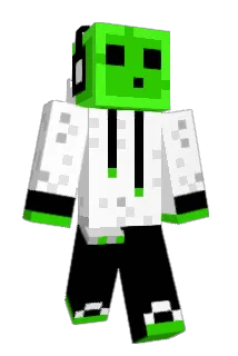 franquito3000 Minecraft avatar full body