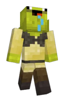 frans212 Minecraft avatar full body