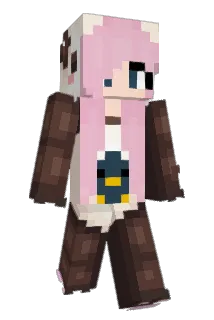 fraud Minecraft avatar full body