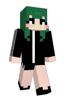 freeble Minecraft avatar full body