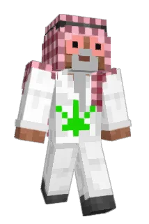 freeccdumps Minecraft avatar full body