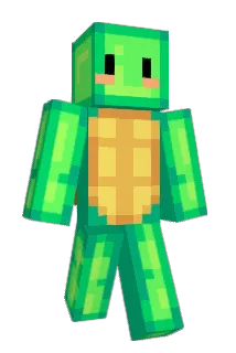 freed4241 Minecraft avatar full body