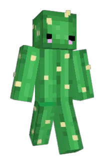 freyam17 Minecraft avatar full body