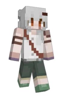 fried_duck00 Minecraft avatar full body