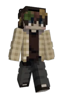 fried_ryc3 Minecraft avatar full body